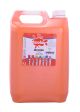 Paint - Ready Mixed 5 Litre - Orange-(11ENC02539)