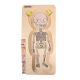 Multilayer Puzzles--Your Bodies - Little Girl(28 pieces)-(11ENC14108)