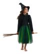 New Deluxe Witch Costume