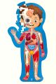 Hape Human Body Jigsaw Puzzle 60pcs w/ 10 pcs Wooden Body Parts