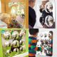 Large Dome Mirror Panel Set - 21ENC00084