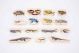 Wooden Reptile & Amphibian Blocks - 21ENC00195