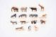 Wooden Wild Animal Blocks - 21ENC00196