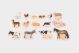 Wooden Domestic Animal Blocks - 21ENC00208