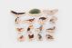 Wooden Bird Blocks - 21ENC00210