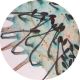 Allium Leaf W.M Epidermis Stomat-(ELS-BB0114)