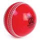 Aresson Softy Trainer Cricket Ball-ebs-ck5210-jun-rd