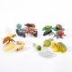 Life Cycle Figures Collections