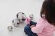 Sensory Reflective Balls (4Pk)