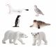 Arctic / Antarctic Set (6Pk)