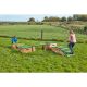 Move & Make Meadow Course Complete Set