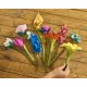 Felt Role Play Flowers