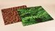Forest School Ferns Padded Mats