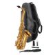 Trevor James Alphasax student Eb alto saxophone outfit-(EHH-TJ371A-GL)