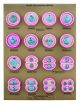 Model Plant Cell Division Meiosis-EIS-BM0040