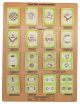 Model Plant Cell Division Meiosis-EIS-BM0042