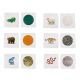 Sensory Hand Feel Plates